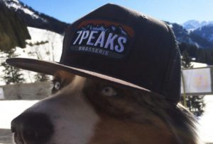 Casquette 7peaks sur notre ami à 4 pattes