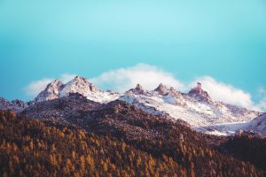 Montagnes et forêt en automne