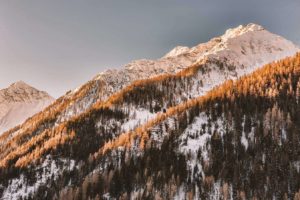 Montagne et sapins enneigées sous le soleil