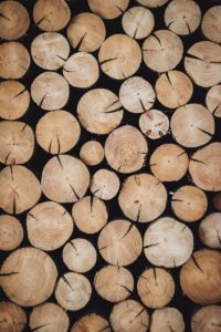Rondins de bois
