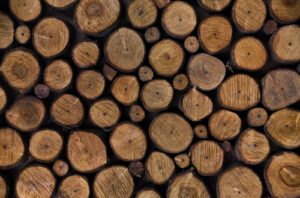 Rondins de bois