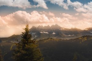 Sapins et Dents du midi au lever du soleil