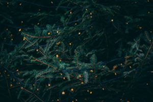Sapin et guirlandes