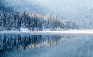 Sapins enneigés et lac brumeux