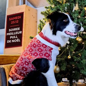 soiree meilleur pull de noel